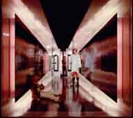 some explicit polaroids