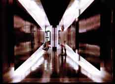 Gestochen scharfe Polaroids