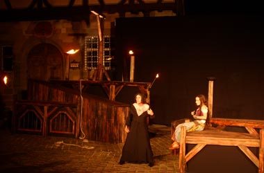 Der Gl&ouml;ckner von Notre Dame